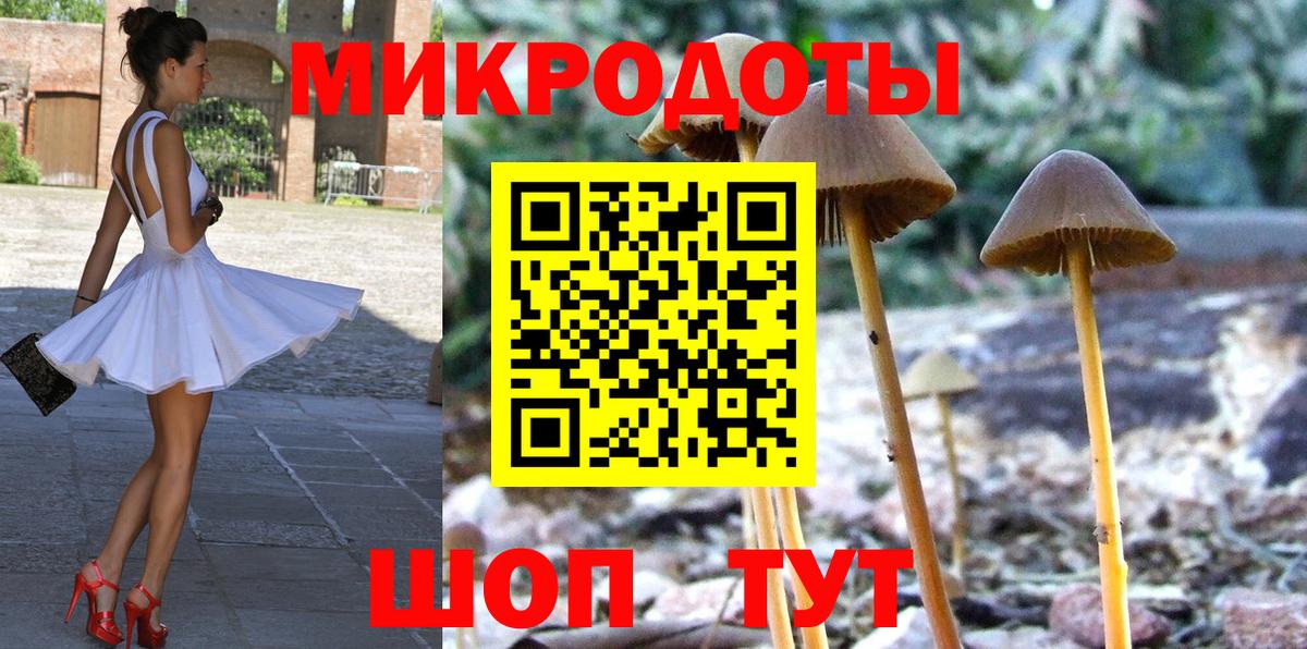 Галлюциногенные грибы MAGIC MUSHROOMS  Псилоцибиновые грибы мицелий  Вход с VPN  Бугуруслан 